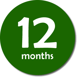 12 Month Subscription