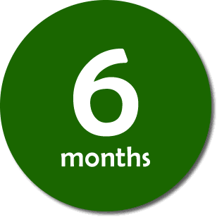 6 Month Subscription